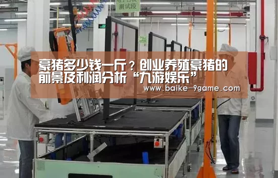 九游娱乐