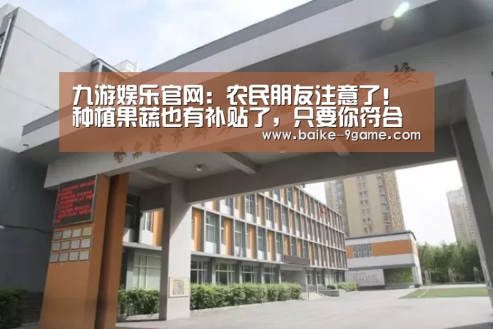 九游娱乐