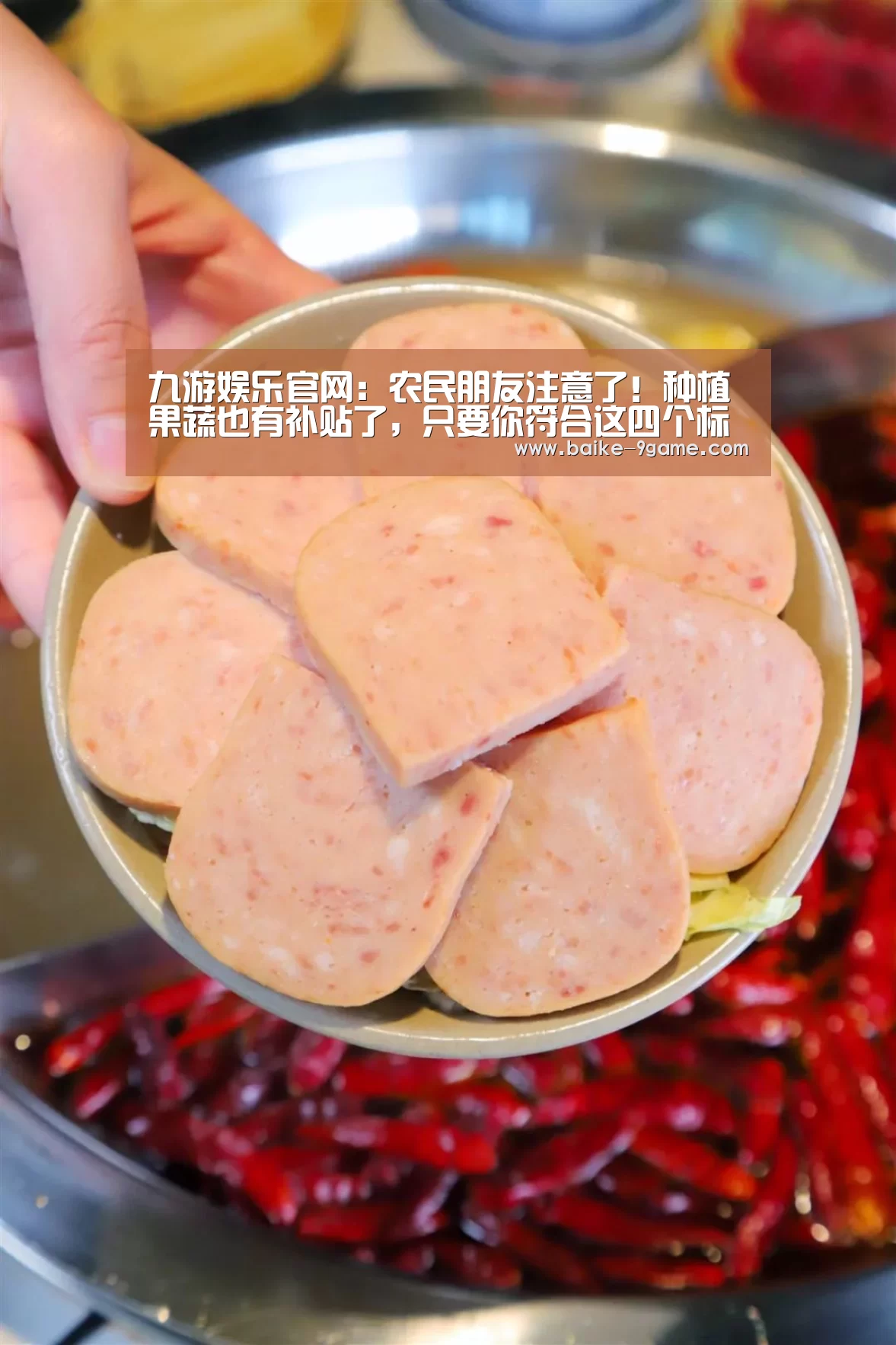 九游娱乐